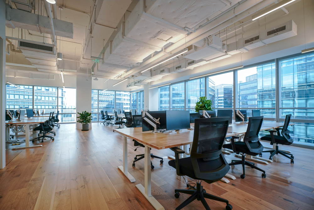 Open Concept Office Space